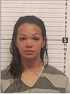 Mugshot of Yelibeth Carolina Sanchez booked in Bay County, Florida on August 10, 2026