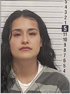 Mugshot of Gaby Abigail Chavez booked in Bay County, Florida on August 11, 2026