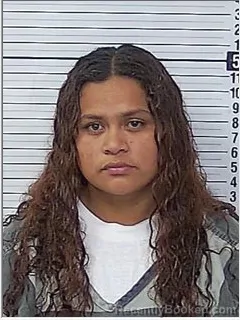 Mugshot of Reyna Estefania Rodriguez-Claros booked in Bay County, Florida on August 11, 2026