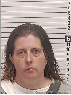 Mugshot of Stacey Janet Davis booked in Bay County, Florida on August 11, 2026