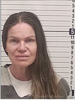 Mugshot of Terri Leigh Daniel booked in Bay County, Florida on August 12, 2026