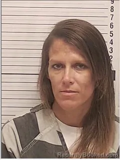 Mugshot of Heather Christine Dickison booked in Bay County, Florida on August 12, 2026