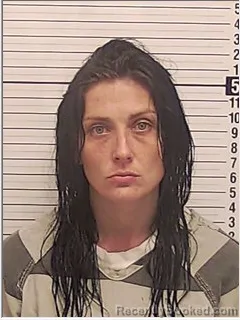 Mugshot of Taylor Renee Lamb booked in Bay County, Florida on August 13, 2026