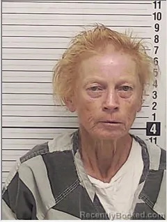 Mugshot of Tammy Carol Steinmetz booked in Bay County, Florida on August 15, 2026
