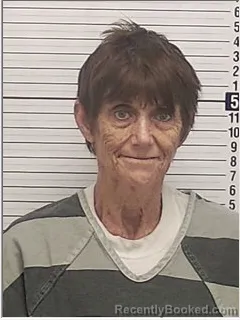 Mugshot of Tammy Norean Padgett booked in Bay County, Florida on August 15, 2026