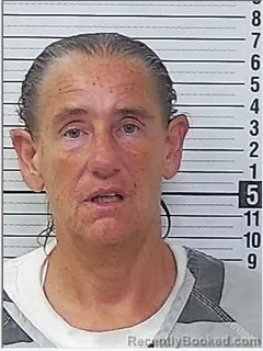 Mugshot of Tammy Irene Lienhart booked in Bay County, Florida on August 18, 2026