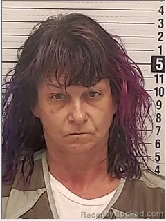 Mugshot of Virginia Leigh Mcrae booked in Bay County, Florida on August 18, 2026