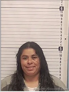 Mugshot of Marinely Nolasco-Benitez booked in Bay County, Florida on August 19, 2026