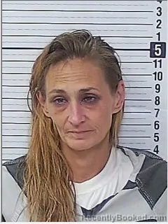 Mugshot of Amanda Nicole Douglass booked in Bay County, Florida on August 19, 2026