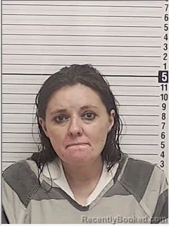 Mugshot of Jessica Ellen Lein booked in Bay County, Florida on August 20, 2026