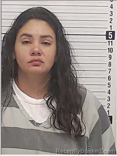Mugshot of Yaira Marie Prado Roman booked in Bay County, Florida on August 21, 2026