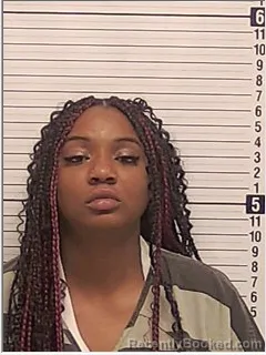 Mugshot of Alecia Rosalois Jackson booked in Bay County, Florida on September 12, 2026