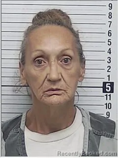 Mugshot of Phyllis Ann Hand booked in Bay County, Florida on September 15, 2026