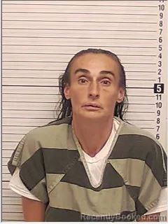 Mugshot of Julie Ann Haley booked in Bay County, Florida on September 30, 2026