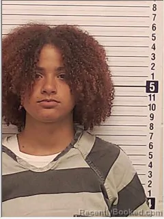 Mugshot of Aja Lesha Norris booked in Bay County, Florida on October 3, 2026