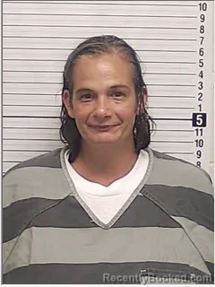 Mugshot of Kristi Lynn Gross booked in Bay County, Florida on October 5, 2026
