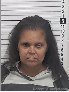 Mugshot of Crystal Shemwell