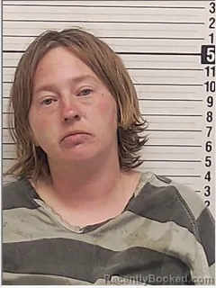 Mugshot of Noelle Rebekah Sturgill