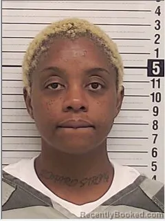 Mugshot of Chalesia Dsean Donaldson booked in Bay County, Florida on October 27, 2026