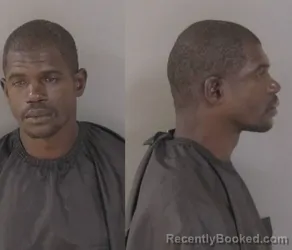 Booking photo from Indian River County, Florida