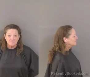 Mugshot of Vanessa Irma Gilman booked in Indian River County, Florida on October 10, 2026