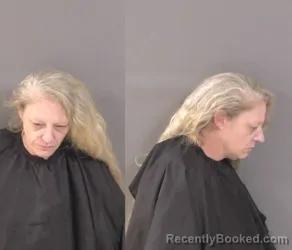 Mugshot of Kristina Lynn Grant booked in Indian River County, Florida on March 27, 2026