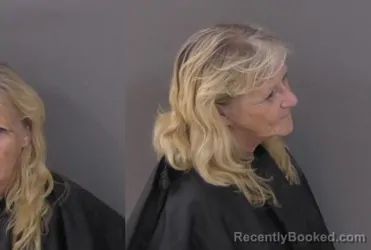 Mugshot of Penny Maria Nowlin