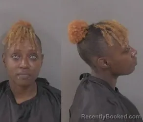 Mugshot of Monique M Williams booked in Indian River County, Florida on April 5, 2026