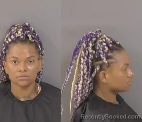 Booking photo from Indian River County, Florida