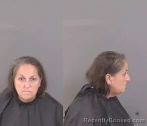Mugshot of Cindy Ann Wilcox booked in Indian River County, Florida on July 31, 2026