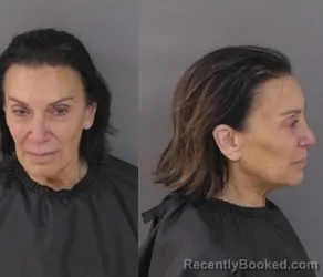 Mugshot of Judy Ellen Ross booked in Indian River County, Florida on July 5, 2026