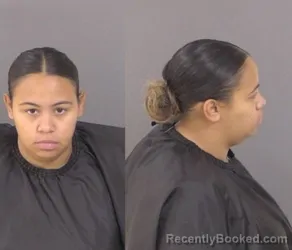 Mugshot of DAIJA MARIE STROYEK booked in Indian River County, Florida on March 26, 2026