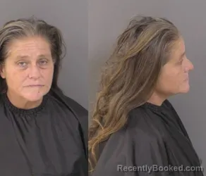 Mugshot of Karen Faye Best booked in Indian River County, Florida on March 27, 2026