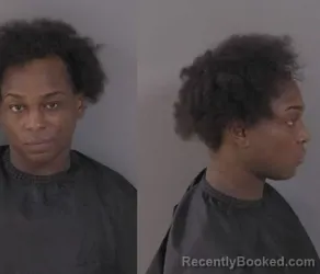Mugshot of Michael Anthony Thompson booked in Indian River County, Florida on September 12, 2026