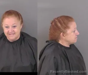Mugshot of Helen Reid Fowkes booked in Indian River County, Florida on June 17, 2026
