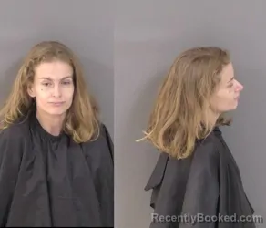 Booking photo from Indian River County, Florida