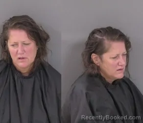 Mugshot of Melissa Dianne Zawistowski booked in Indian River County, Florida on June 19, 2026