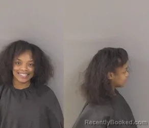 Mugshot of Jessica Meionnah Anderson booked in Indian River County, Florida on August 3, 2026