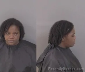 Mugshot of Kenetha Shariel Holmes booked in Indian River County, Florida on July 30, 2026
