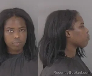 Mugshot of Brianna Nicole Bryant booked in Indian River County, Florida on August 16, 2026