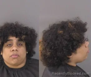 Mugshot of Zenaida Lilly Mitchell