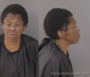 Mugshot of Dolores Ann Blue