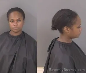 Mugshot of Ashley Chanelle Sears booked in Indian River County, Florida on August 8, 2026