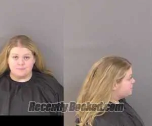 Booking photo from Indian River County, Florida