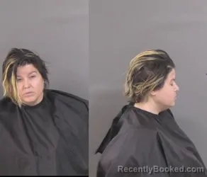 Mugshot of Dana Marie Petersen booked in Indian River County, Florida on October 7, 2026