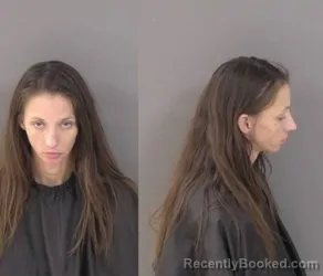 Booking photo from Indian River County, Florida