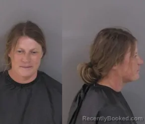 Mugshot of Anne Elizabeth Lueders booked in Indian River County, Florida on July 3, 2026