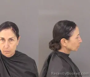Mugshot of Marise Desiree Ajmo booked in Indian River County, Florida on April 29, 2026