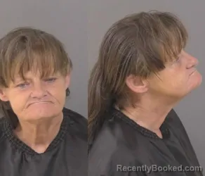 Mugshot of Janie Edna Easling booked in Indian River County, Florida on September 12, 2026