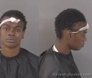 Mugshot of Destiny Desha Scott booked in Indian River County, Florida on September 17, 2026